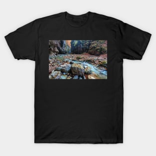 River in limestone canyon T-Shirt